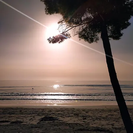 Alex Appartement Sakes